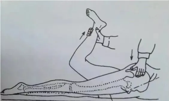 股神經(jīng)牽拉試驗(yàn)