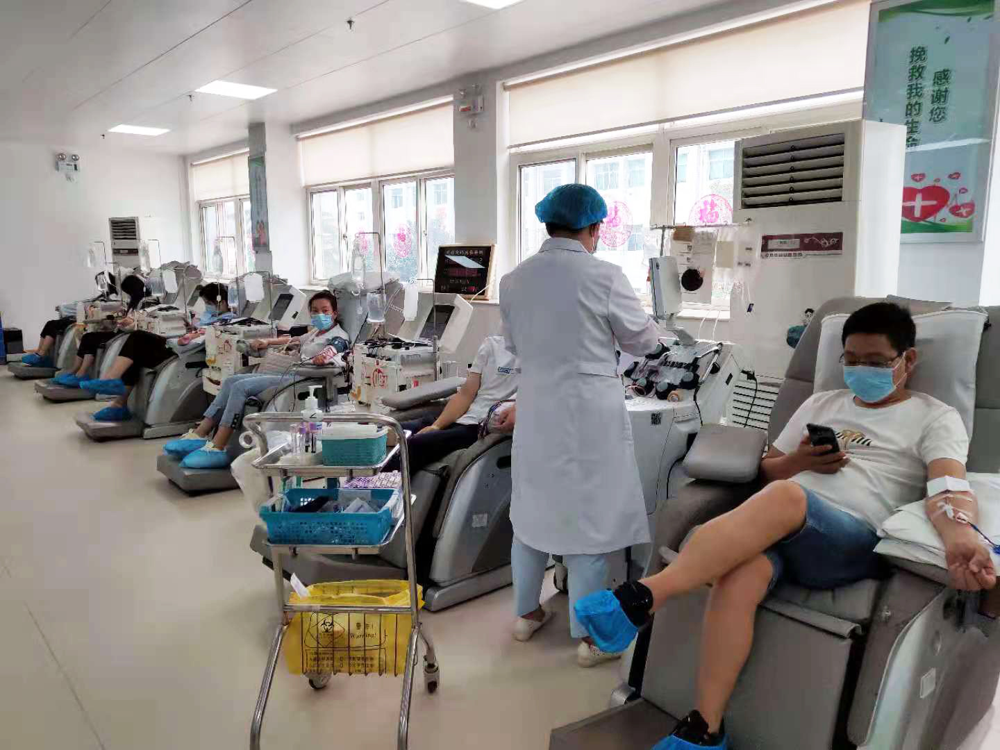 單采成分血、機采血小板獻血中